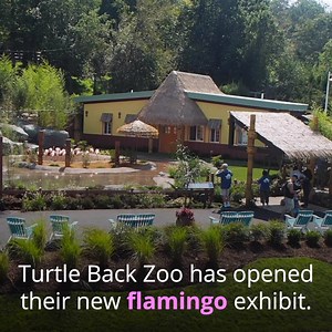 214K views · 4K reactions | New Jersey is truly in the pink with this new flamingo exhibit. Who's going? | NJ.com | Facebook