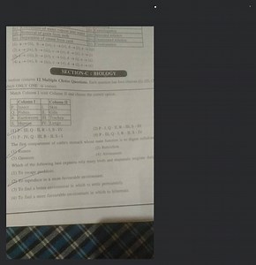 The first compartment of cattle's stomach whose main function i... | Filo