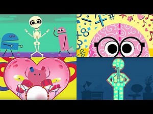 StoryBots | Songs to Learn About The Human Body | Bones, Brain, Heart, Lungs & Stomach | Netflix Jr