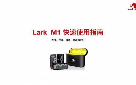 Lark M1 快速使用指南
