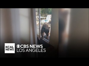 Bear interrupts California man washing his dishes