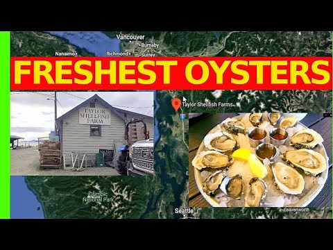 Taylor Shellfish Farm Bow WA Fresh Oysters Review, Must Eat Oysters Seattle, Must eat Vancouver