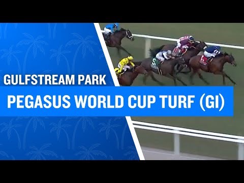 2026 $1,000,000 Pegasus World Cup Turf (G1) at Gulfstream Park