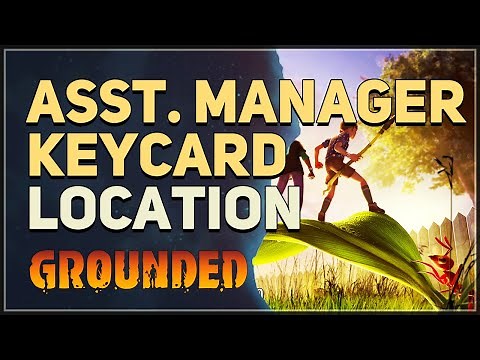 Asst. Manager Keycard Location Grounded