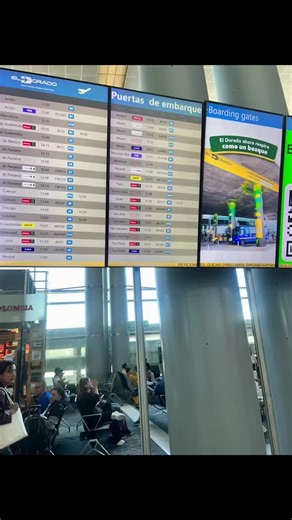 Escapar de la rutina también se ve así 🌊🐬☀️⛱️🏖️🐚 #viajar #playa #delfines #republicadominicana🇩🇴 maravilloso que la vida nos siga soprendiendo 🫶🏻 con más momentos así ❤️