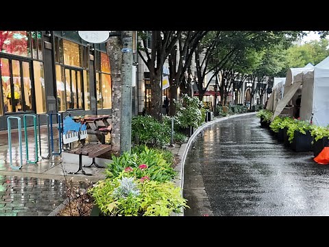 Bethesda Maryland Downtown | 4K Walking Tour | USA