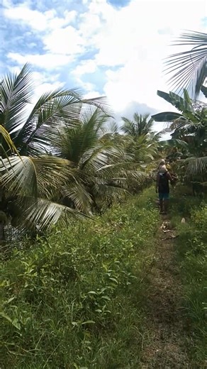 34 reactions · 6 comments | Visiting Poland's Farm | Merry-an Fortez-Gimo | Facebook