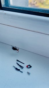 35K views · 3.9K reactions | ️️ please please please 練 | Mimimimzy | Facebook