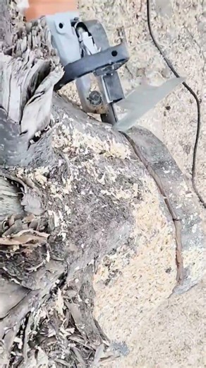cutting and carving a large tree stump with a reciprocating saw to shape wood for outdoor projects
