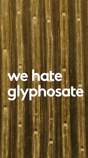 Shubug on Instagram: "Got glyphosate? Not us. 🧪🚫 We’re proud to have our insect repellent independently certified by @glyphosatefreecertification , because we hate glyphosate and love clean, transparent ingredients that keep you outside longer. 🌿✨ #SadBugsHappyYou #WeHateGlyphosate #CertifiedByTheDetoxProject #NaturalBugSpray #Shubug"