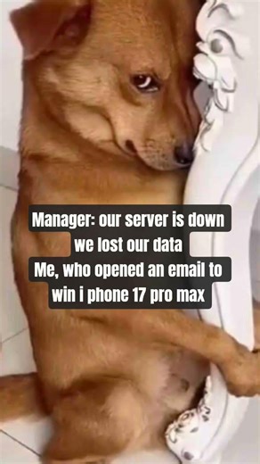 #computerscience #cs #programming ##computereducation #funny