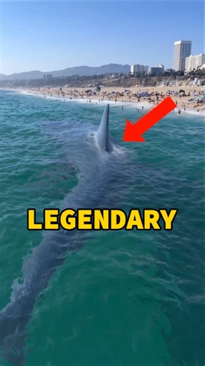 Top 5 Legendary Creatures So Terrifying They Still Haunt Us 😱