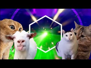 Cat Meme EDM【Full】