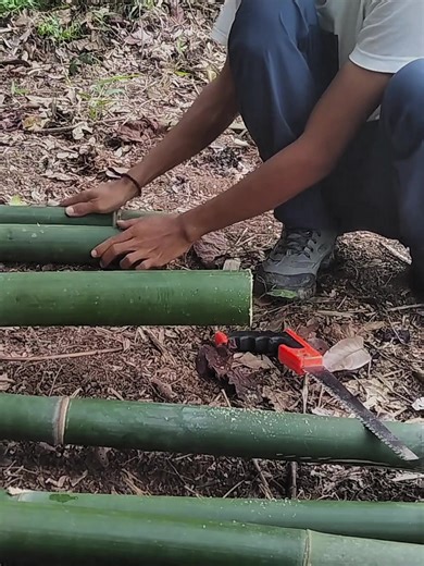 Building a Bamboo Tent for Bushcraft Camping