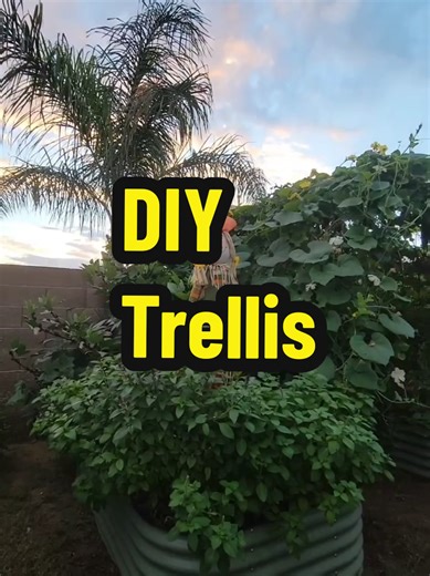 DIY Trellis 6 - T posts Cement wire (affordable) or galvanized steel Metal zip ties #trellis #diy #gardentips