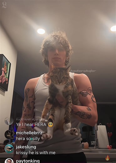 Hilarious Cat Shenanigans on Insta Live