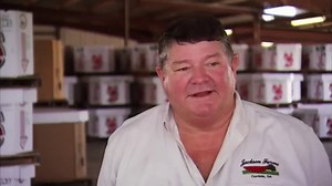 Georgia Watermelons - America's Heartland