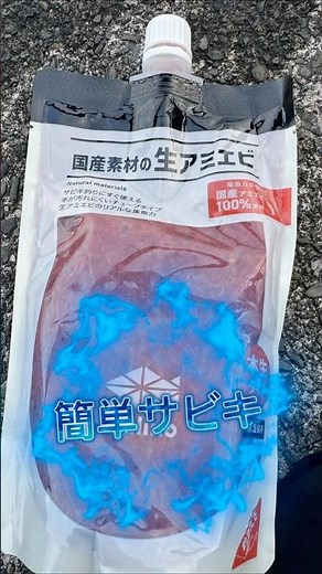 ［簡単 釣り］サビキ釣りで1時間釣行！当たりも多く手も汚れず簡単に魚釣れます♪魚種も数も豊富な今こそ釣りに出掛けよう！