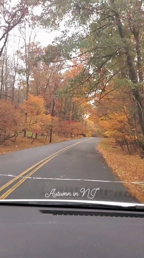 #nj # #waldorf #classroom #Steiner | Waldorf art and teacher