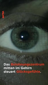 Wie viele Stunden am Tag schaut ihr im Schnitt auf Bildschirme? Zugegeben, unsere Doku läuft auch auf einem. Aber danach ist dann Schluss, ok? 📺💻📱 Hier geht's zur Mediathek: https://arte.app.link/bildschirme | Arte