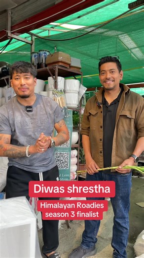 Diwas shrestha himalayan roadish finalist @flowercrewnepal #indoorplants #outdoorplants #fyp #arecapalm #peacelily