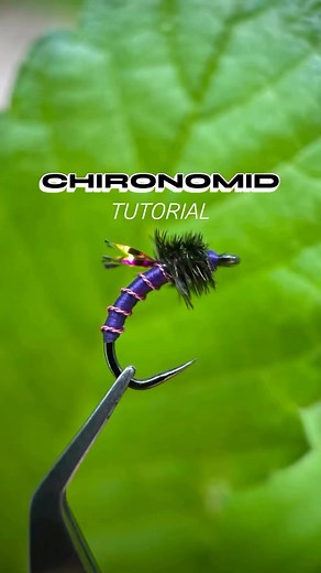 “Chironomid” Tutorial🎥 @fishdikk 🍜Recipe🍜Hook: @ahrexhooks FW527 Size 14Thread: @semperfli_flytying 8/0 Classic Waxed Body: Semperfli Wire (Twisted) X Thread Thorax: Peacock HerlFlash: Krystal Flash🛠Tools🛠Scissors: @renomedusa ✂️ “The Fly Tier” Vise: @stonfo_flyfishing EliteThread Cutter by: @stonfo_flyfishing Bobbin: @stonfo_flyfishing SteelTech⠀⠀⠀⠀ ⠀ ⠀⠀⠀⠀ ⠀⠀⠀⠀ ⠀ ⠀⠀⠀⠀⠀⠀⠀ ⠀⠀⠀⠀ ⠀ ⠀⠀⠀⠀ ⠀⠀ #flyfishing #howto #fishing #atadodemoscas #flugfiske #torrfluga #tutorial #fishingwithace #Emerger #flyt