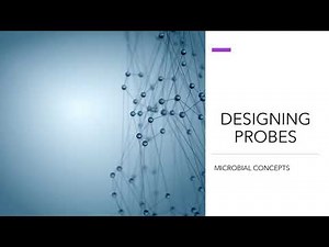 DESIGNING PROBES | probe