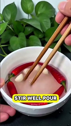 No Chemicals Needed! Easy DIY Bug Spray for Plants 🌿✨
