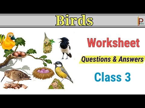 Birds ( Beaks / Nests / Claws / Food) Worksheet CBSE Class 3 | Birds Question and Answers Grade 3
