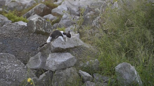 A port city whose unique culture was influenced by European, Mexican, Jewish, Southern and African American traditions - Galveston has an its own distinct charm, it really is like nothing else. This little Island is prominent in not only Texas history but US and even world history. Spanish conquistadors, dashing pirates, presidents, mobsters, Hollywood stars - all have visited Galveston. It is special. Now, I don't think that progress and development are mutually exclusive. But developers need t