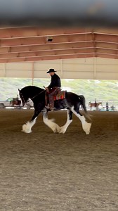 Our main man, Willow Way Thorn. Trained and ridden by Luke Castro. #Clydesdale #blackclydesdales | Hideaway Ranch