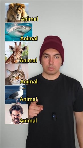 We are all Animals! #spanishwithjuank #animals