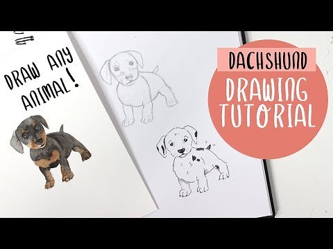 How To Draw A Dog (or ANY Animal!) For Beginners - Drawing Tutorial
