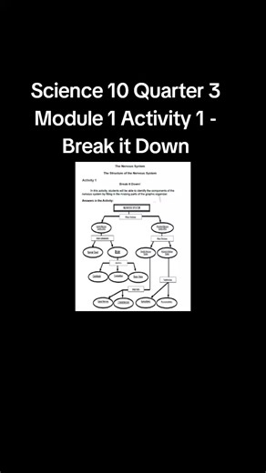 Science 10 Nervous System Parts - Module 1 Activity