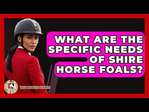What Are The Specific Needs Of Shire Horse Foals? - The Horses Stable