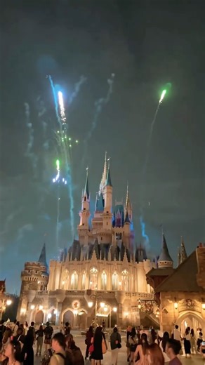 “Tokyo Disneyland magic hits different 💖✨”