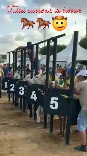 Carreras de burro | Jose Bernabe Higuera Arce