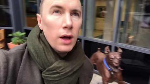 A day at Battersea Dogs & Cats Home