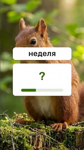 УСПЕЙ перевести за 2 секунды! Английские слова уровень А2. #английскийязык #english