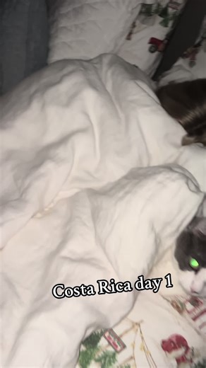 Exploring La Fortuna: Costa Rica Day 1 Adventures