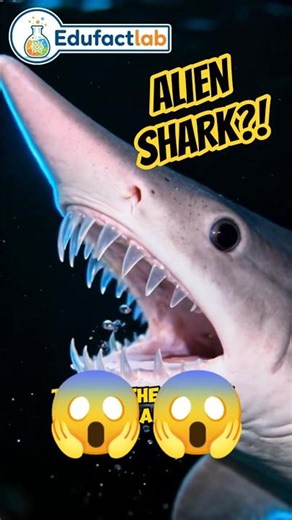 This Shark Looks Like an Alien… But It’s Real #animalfacts #facts #animals #wildlife #didyouknow