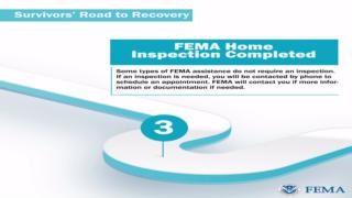 15 reactions | #Maui residents: If you applied for FEMA assistance following the August wildfires, make sure to also apply with the U.S. Small Business Administration. ✅ If you are approved for an SBA loan, you are under no obligation to accept all or part of the loan. If SBA is unable to offer you a loan, you may be referred back to FEMA for additional benefits.  Learn more: go.dhs.gov/ogT | FEMA Federal Emergency Management Agency | Facebook