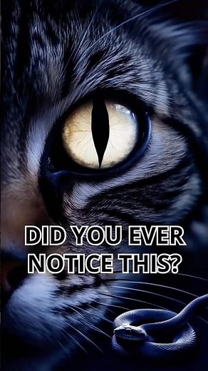 Why Do Cats Have Snake Eyes? The Mystery Behind Their Strange Pupils!