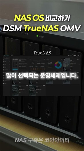 Comparing Representative NAS OS: DSM, TrueNAS, OMV