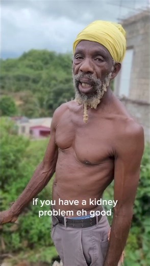 --- 🌿 **Discover the Health Benefits of Jamaican Dandelion for Your Prostate, Liver, and Kidneys!** 🌿 Have you heard about the incredible Jamaican dandelion? This amazing herb is a natural powerhouse for supporting your prostate, liver, and kidney health. Packed with antioxidants and anti-inflammatory properties, Jamaican dandelion helps detoxify and rejuvenate your body's essential systems. ✨ **Prostate Health:** Jamaican dandelion is known for its potential to support prostate health, helpin