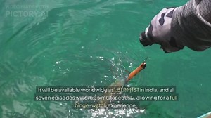 Squid Game Season 2 Release Date, Cast, and What to Expect: Everything You Need to Know