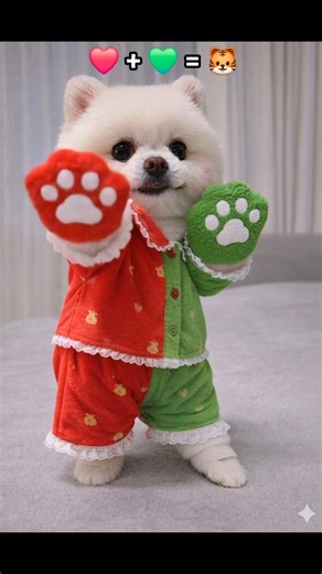 새로운 색깔챌린지