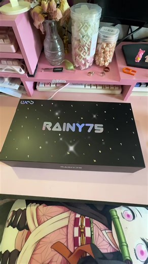 Unbox the Rainy 75 Pro Keyboard with Excitement