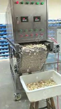 How Does A Garlic Peeling Machine Work? Garlic Peeling Machine Commercial