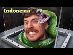 Hadapi Ketakutan Terbesar Anda Untuk Memenangkan $800.000 |MrBeast Dijuluki Bahasa Indonesia
